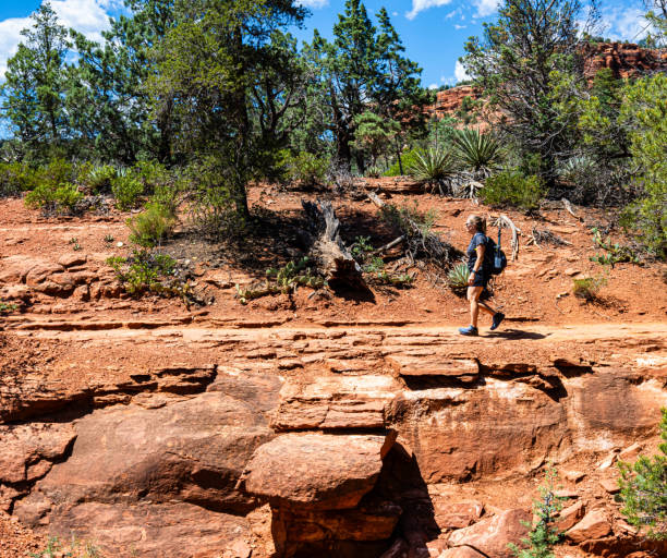 istock Female Hiker on The Soldier Pass Trail, 2161941776