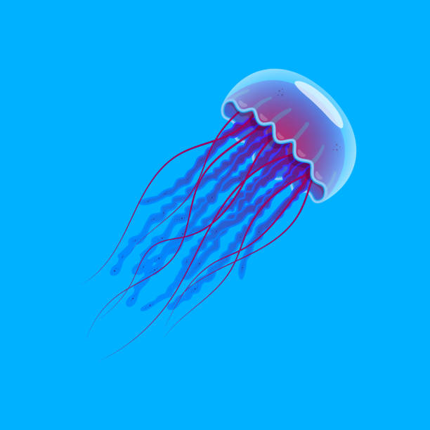 istock Realistic jellyfish blue lightening, poisonous jellyfish in deep water with deep ocean creature 2161947242