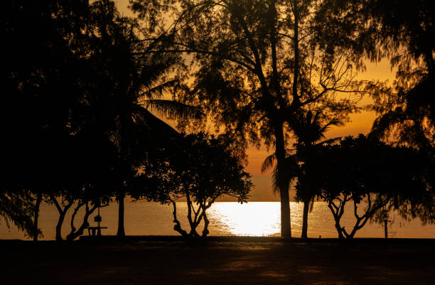 Beautiful sunrise at the beach in the tropics. Sky and ocean. Background