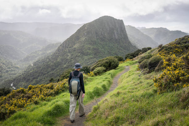 istock Hiking Omanawanui track. Waitakere Ranges. Auckland. 2161960716