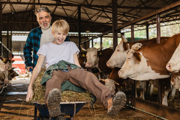 istock Grandfather and Grandson Having Fun at Cattle Farm 2161960827