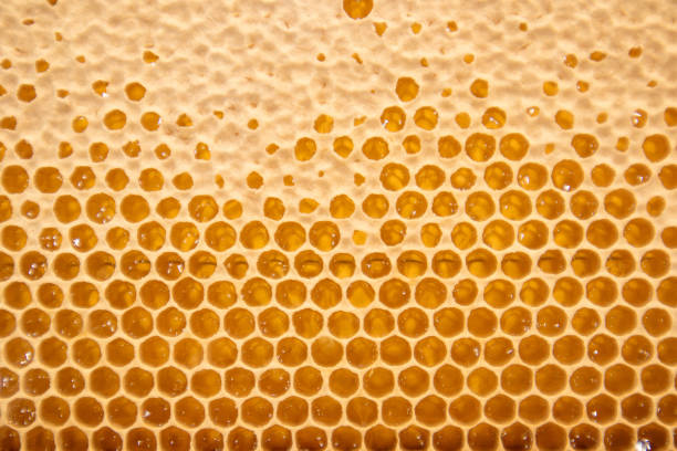 Fresh and delicious yellow-orange honeycomb
