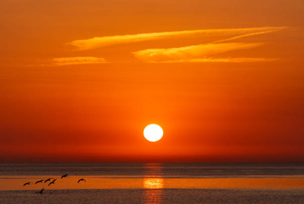 istock Sunrise at the beach 2161969628