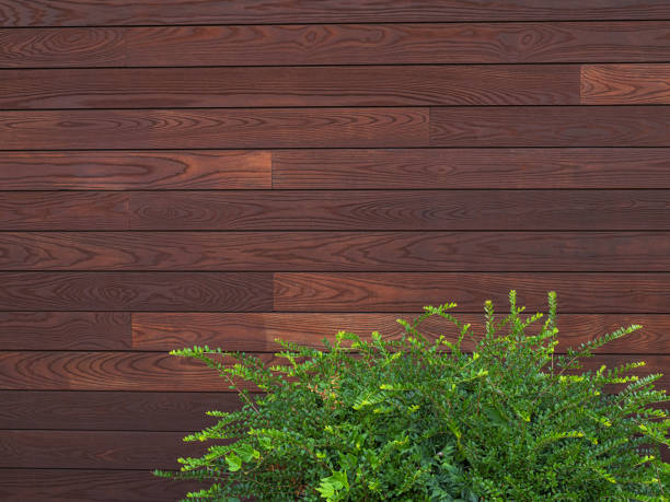 istock A wall with wooden boards and a boxwood bush, copy space 2161972002