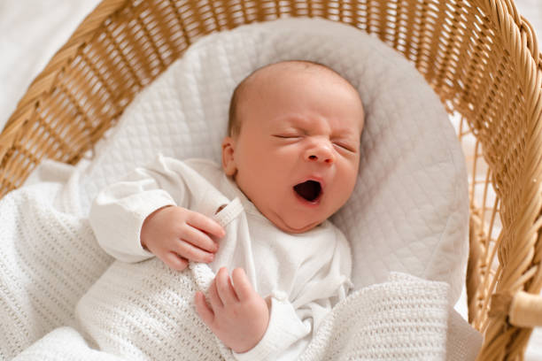 An 11 day old Caucasian newborn baby laying on a purple blanket with his mouth open in a big yawn.