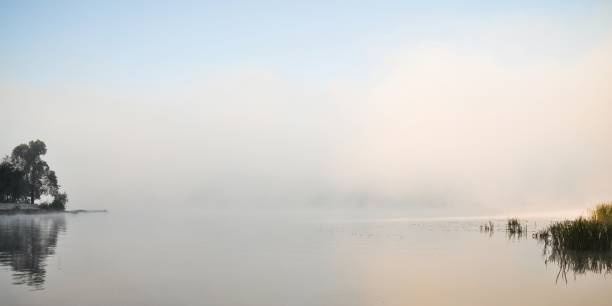 Dense fog over water. Sunrise in mist by the lake on autumn morning. Trees and scírpus-like plants on the bank of the river.