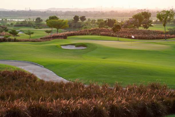 Beautiful View of Green Golf Field with Blue Sky.Beautiful View of Green Golf Field with Blue Sky.