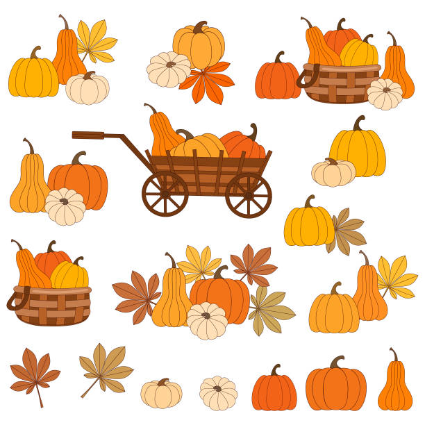 jesienne zbiory dyni i obchody święta dziękczynienia koncepcja wektorowe elementy projektu - zbierać plony stock illustrations