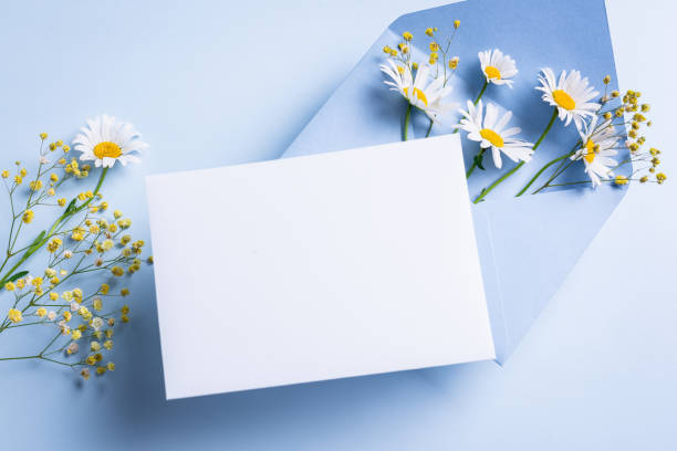 istock Empty blank card, blue envelope and chamomile flowers 2161978815