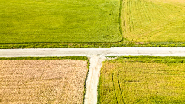 istock Countryside road in summer field 2161982585