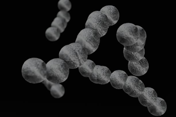 This computer-generated image vividly illustrates the invasive Group A Streptococcal bacteria, as they would appear under a microscope. This visual representation helps to understand the microscopic world of Group A Streptococcus and its potential to cause serious diseases.