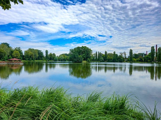Nice view on the lake in Zgierz.
