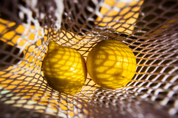 Fruits in the eco mesh bag