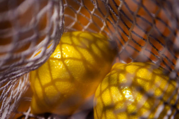 Fruits in the eco mesh bag