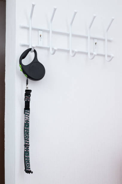 istock Stylish Green and Black Patterned Retractable Dog Leash Hanging on Sleek White Wall Hook 2161987620
