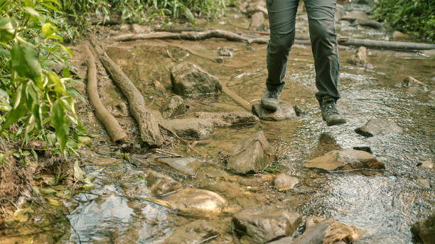 istock Female Hiker on The Jungle Trail 2161989847