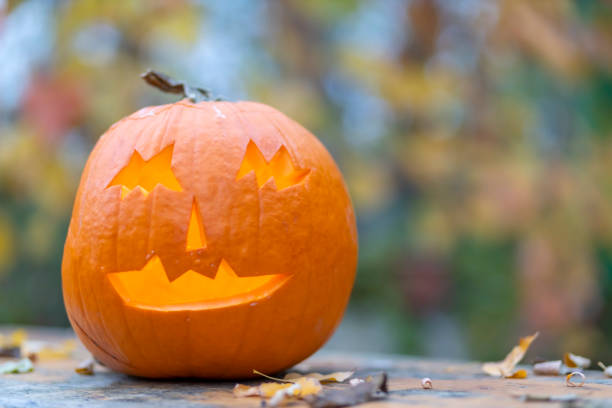 istock halloween pumpkin, autumn still life 2161992110
