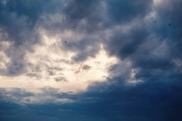 Dramatic clouds fill the sky as birds fly against an ominous, moody backdrop