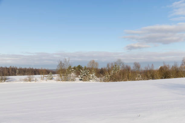 drifts of pure white snow after a snowfall, the winter season is cold and with white fallen snow