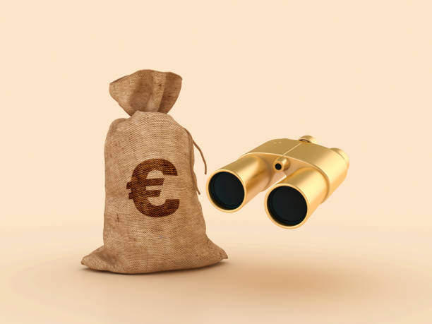 istock 3D Binoculars with Euro Money Sack 2161996736
