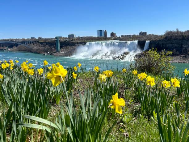 istock Town of Niagara Falls 2162002517