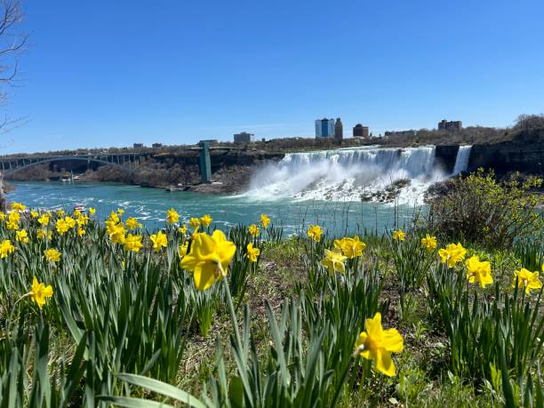 istock Town of Niagara Falls 2162002529