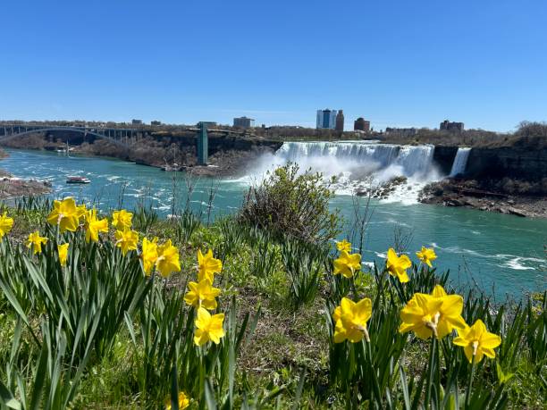 istock Town of Niagara Falls 2162002560