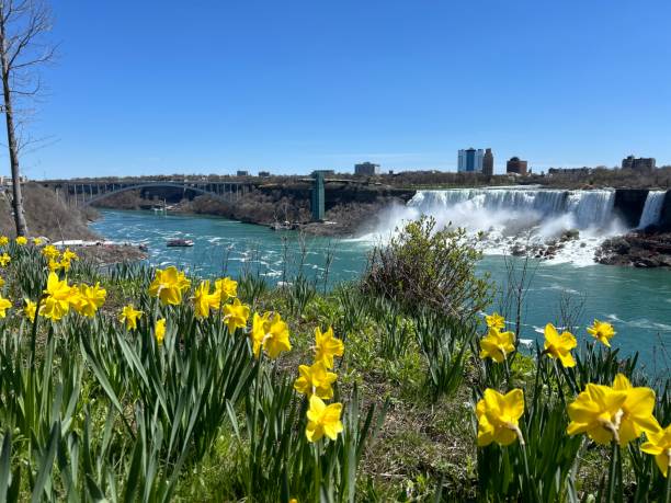 istock Town of Niagara Falls 2162002573