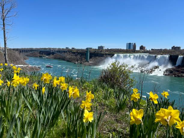 istock Town of Niagara Falls 2162002584