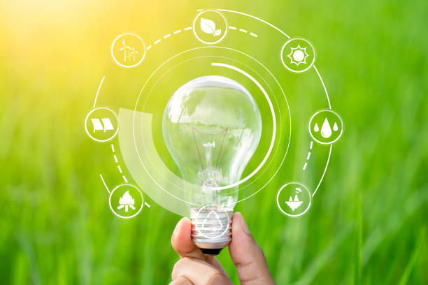 istock Sustainable development concept, Hand holding light bulb against nature with Renewable Energy Sources icons 2162003265
