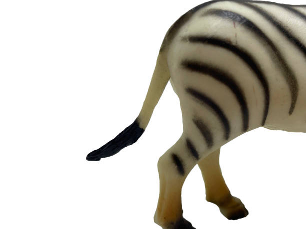 istock The tail of a toy zebra on a white background 2162004109