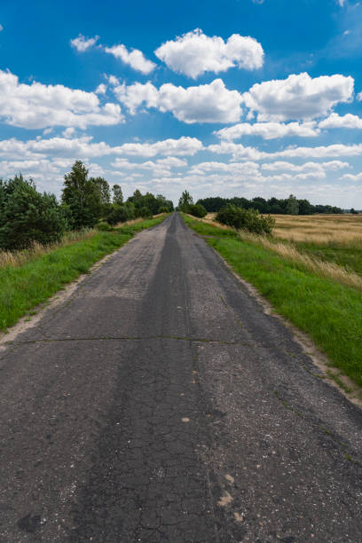 Asphalt road for cyclists, to Olsztyn via Skrajnica, bicycle path, along the trail of eagles' nests, castles in the Jura
