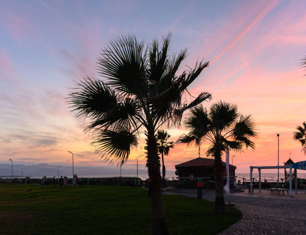silhouettes of two palm trees against the backdrop of a beautiful sunset in Cyprus 1