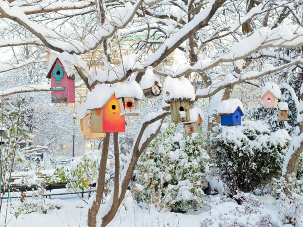 Bird houses in snow