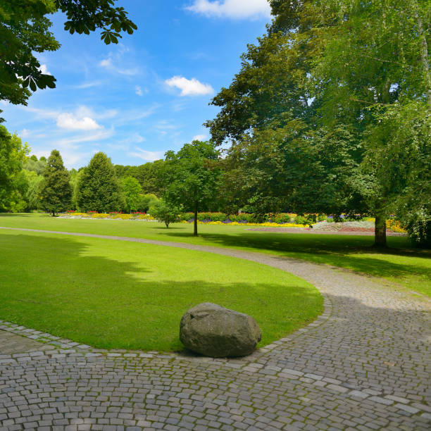 istock Summer park with green meadow 2162011216