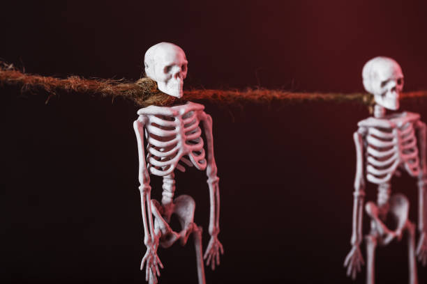 istock Decorative Skeletons hang on a rope on a gloomy background 2162012645