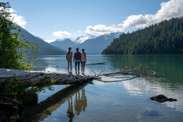 istock Family balances on log 2162013816