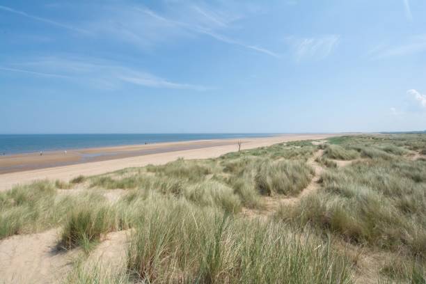 istock dune with seaweed by the sea 2162014734