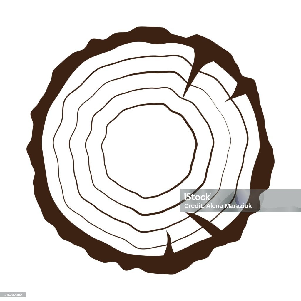 Sectional View Of A Tree Trunk Carved Tree Symbol Flat Illustration Of ...