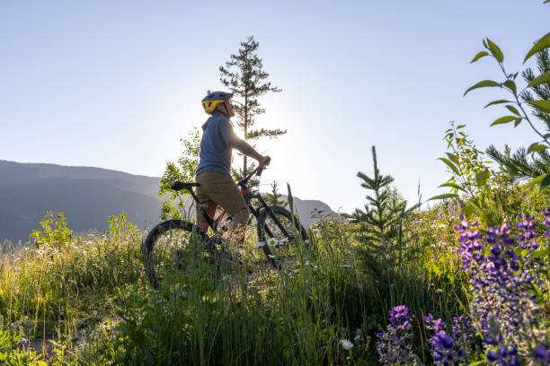 istock Mountain biker pauses in mountain meadow 2162025890