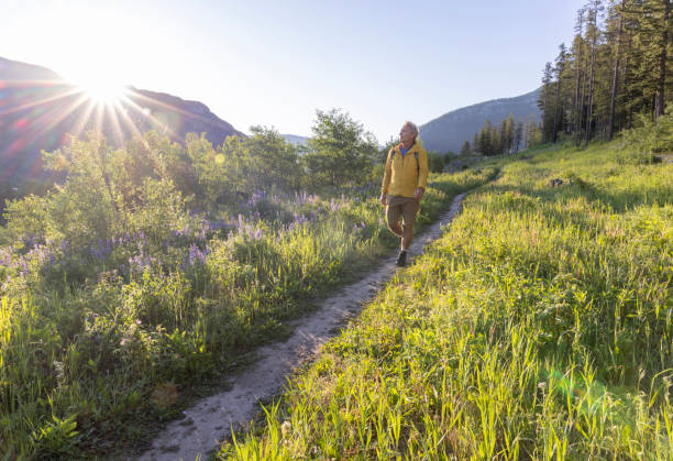 istock Senior man hikes in mountain meadow 2162025919