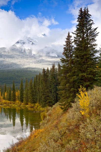 istock Early autumn snow fall in Banff National Park 2162026087
