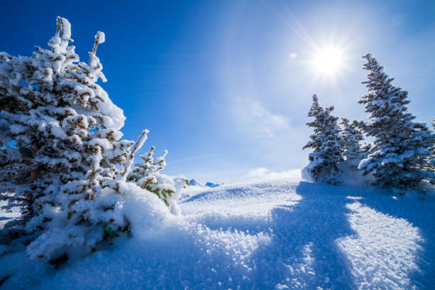 istock Snow covered winter landscape with the sun and blue sky 2162026455
