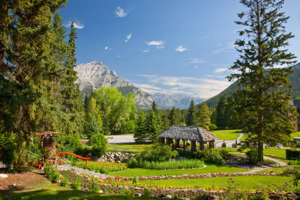 istock Cascade Gardens in Banff National Park 2162026526