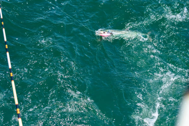Turquoise Water, Summer in Orange Beach, Alabama, Fishing out of Perdido Pass, passing Bird Island and Robinson Island with Recreational Boaters enjoying the Islands and Sandbars, Vacationers Enjoying the Beach on the Fourth of July Holiday Weekend