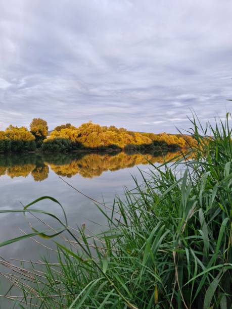 istock Nature and vegetation in summer 2162030225