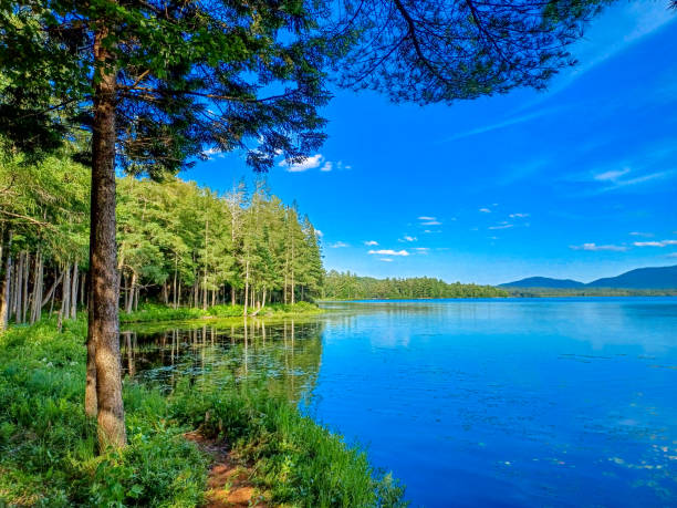 Big lake with mountains and trees reflected in the water