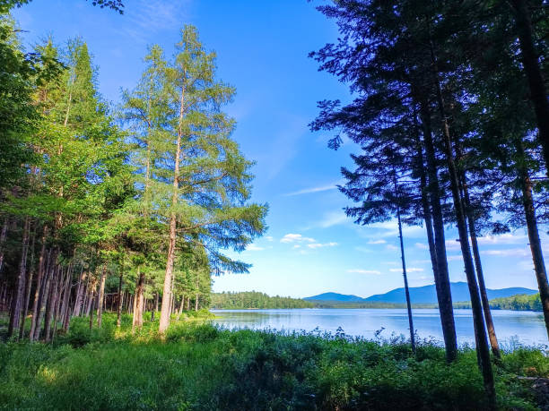 Big lake with mountains and trees reflected in the water