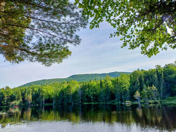 istock Big lake with mountains and trees reflected in the water 2162031812
