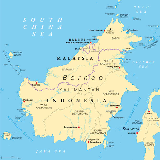 ilustraciones, imágenes clip art, dibujos animados e iconos de stock de borneo, dividido entre malasia, brunei e indonesia, mapa político - kalimantan oriental